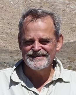 Headshot of Cees van Staal who has a beard and is wearing a light, collared shirt.
